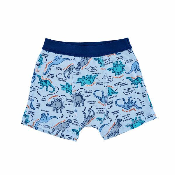 6577_cueca_boxer_estampada_everly_still_2