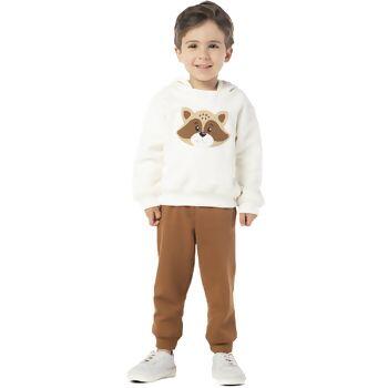 395550_conjunto_raposa_vrasalon