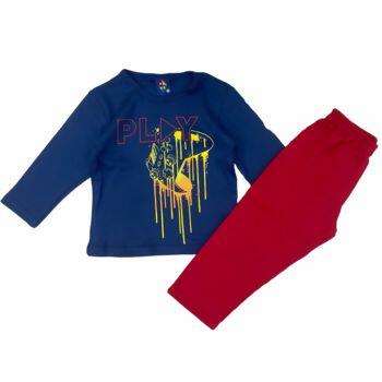 PIPA2022MS_3_conjunto_variados_pipa