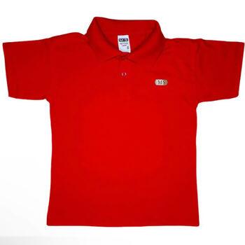 mt106_107_camiseta_polo_matteus