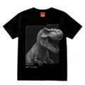 1001902_preto