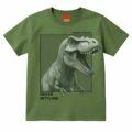 1001902_verde