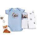 534373_masculino
